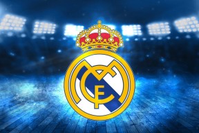 荷兰自由泳中长距离表现不俗，荷兰自由卡和永居