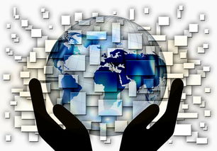 乐鱼vip-中超球队年度控场人数分布与效果评估，中超球队人数限制