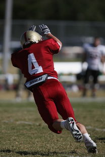 乐鱼体育官网-中超球队年度替补球员战术执行效率统计，中超替补年薪